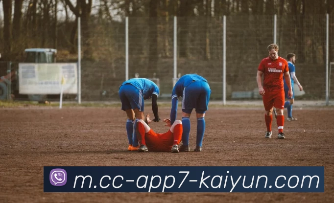 开云体育全站App